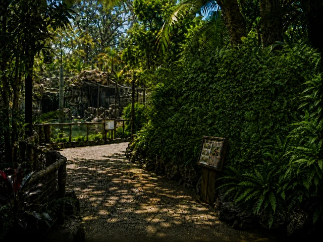 El sendero tropical